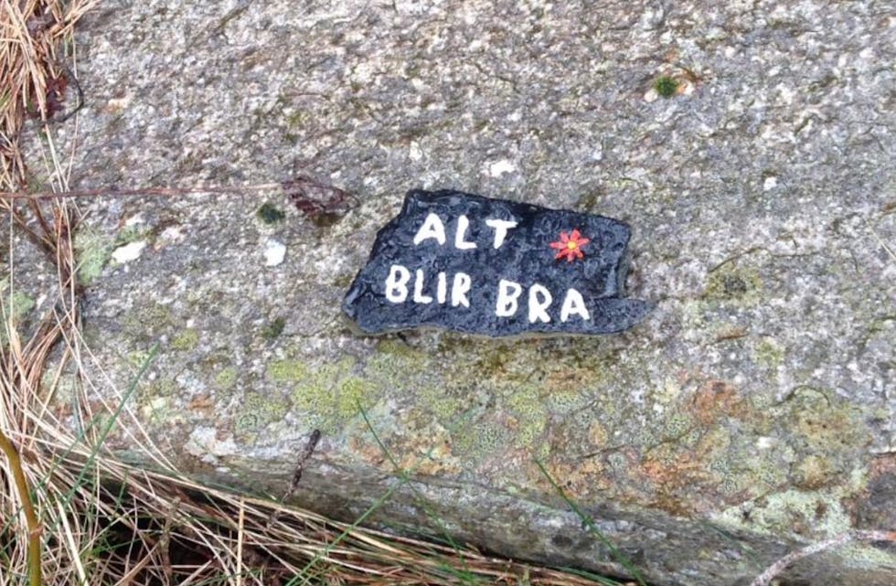 Denne steinen fann Else Mønnich Egenberg då ho gjekk tur på Helsestien.