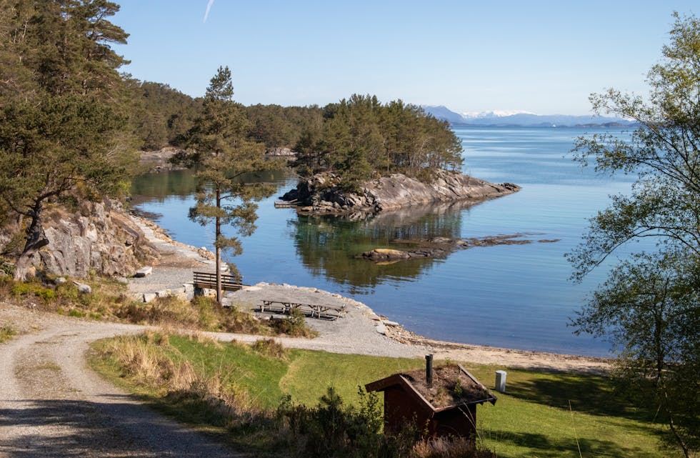 I flotte Holsvika målte Friluftsrådet Vest 17 grader i sjøen fredag.