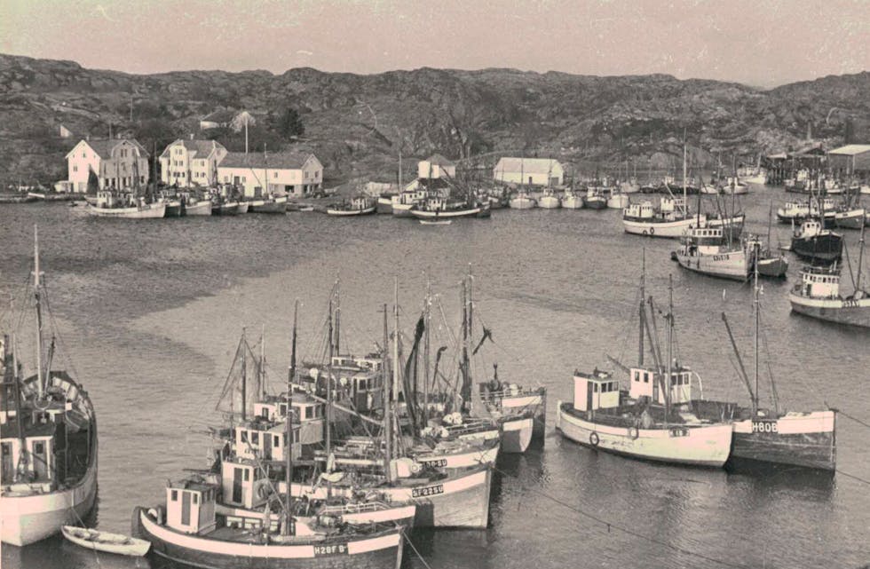 postkort 1951 mølstrevåg sildefiske