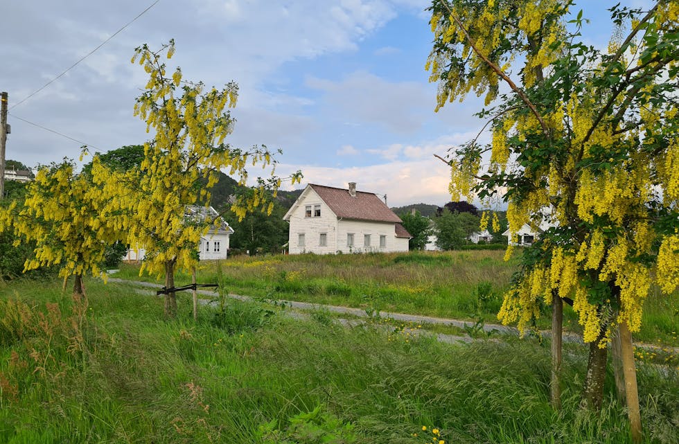 tinghuset i førde