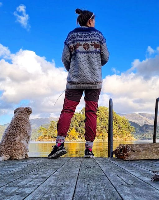 @torilmilford
🍂 #ålfjorden #røykenes #softcoatedwheatenterrier