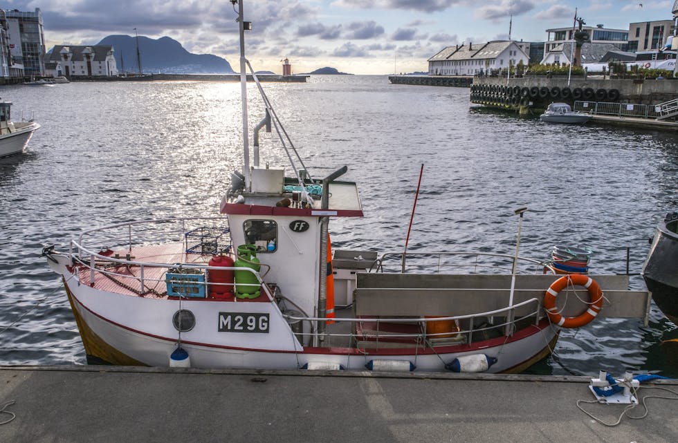 Fiskeridirektoratet har lagt ut skjema for påmelding til årets ungdomsfiskeordning. Ordninga er meint som ein sommarjobb for ungdom mellom 12 og 25 år. Foto: Halvard Alvik/ NTB/ NPK
