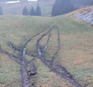 Fleire hjulspor har skadd jordet til Hans Einar Grimstvedt.
FOTO: PRIVAT 