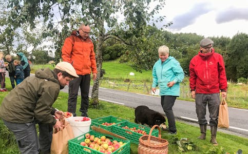 Her er epler og plommer hausta. Frå venstre: Andreas R. Meland, Ove Hansen, Karine Stuve, Odd Eirik Færevåg. FOTO: PRIVAT