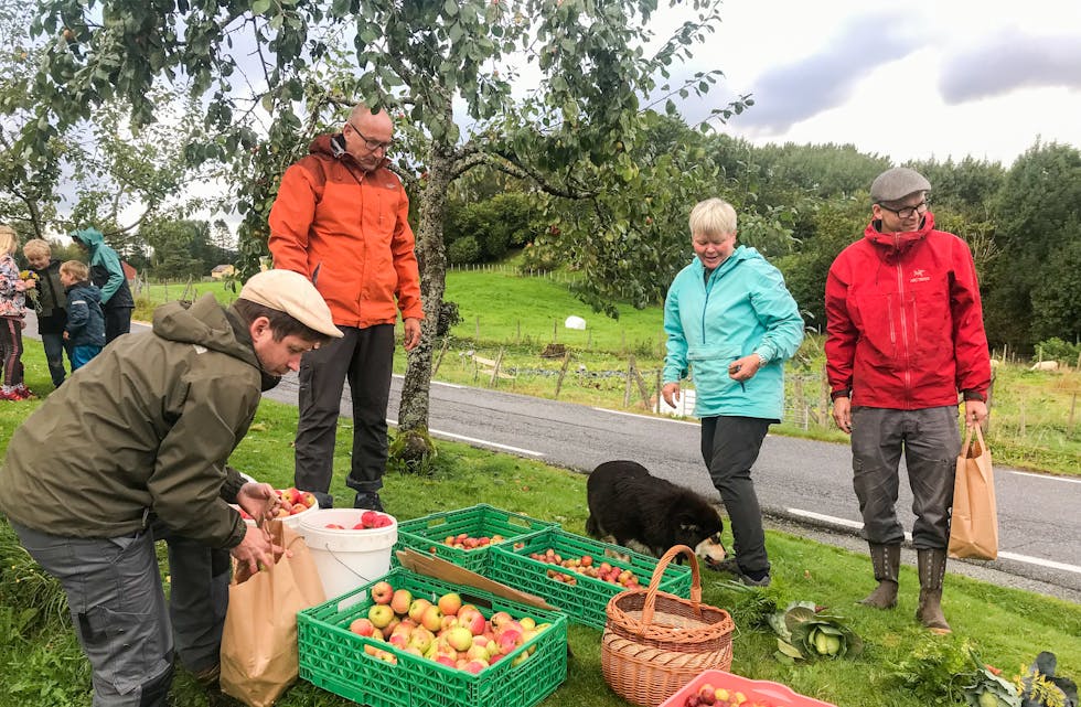 Her er epler og plommer hausta. Frå venstre: Andreas R. Meland, Ove Hansen, Karine Stuve, Odd Eirik Færevåg. FOTO: PRIVAT