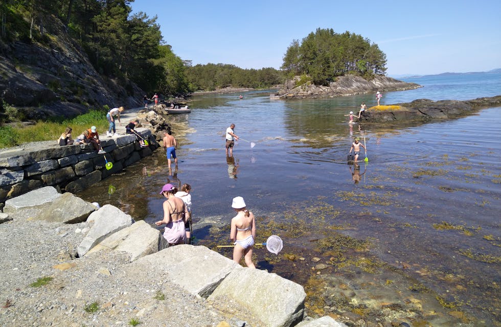 Over 100 små og store møtte opp til Fiskesommar i Holsvika. FOTO: PRIVAT