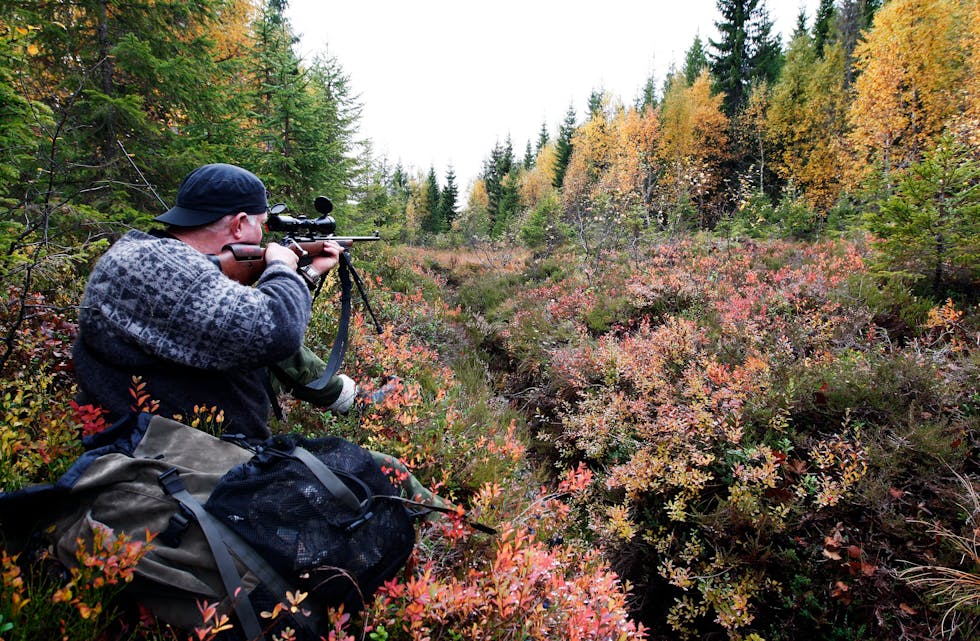 Det blir stadig fleire registrerte jegerar i Noreg, men stadig færre som jaktar.
