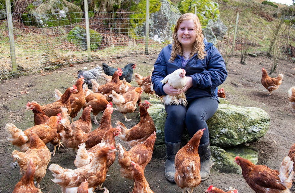Hønseflokken samlar seg gjerne rundt Stine Elisabeth Thorsen når ho kjem inn i hønsegarden
