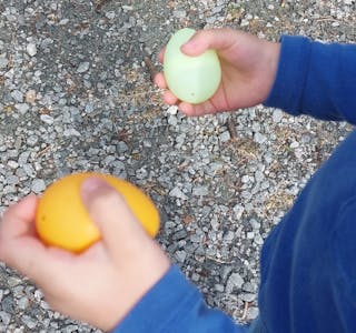 Ved innlevering av egga, kunne barna velja seg ein liten premie.